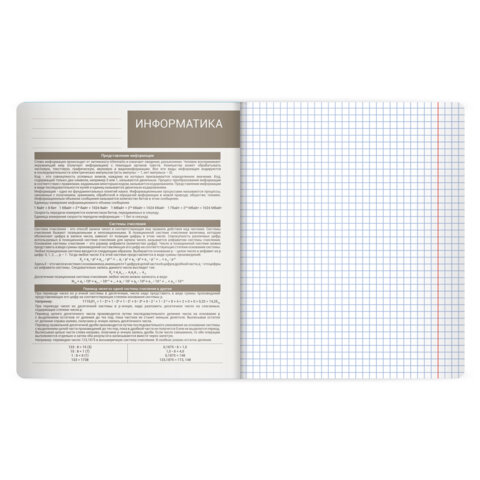 Тетрадь предметная MonoPastel 48 л., пластиковая обложка, ИНФОРМАТИКА, клетка, подсказ, BRAUBERG, 405507 - фото 3