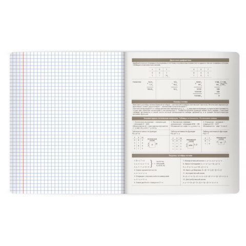 Тетрадь предметная MonoPastel 48 л., пластиковая обложка, ИНФОРМАТИКА, клетка, подсказ, BRAUBERG, 405507 - фото 4