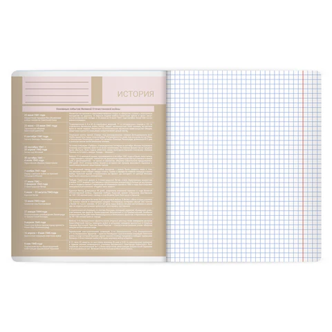 Тетрадь предметная MonoPastel 48 л., пластиковая обложка, ИСТОРИЯ, клетка, подсказ, BRAUBERG, 405508 - фото 3