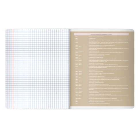 Тетрадь предметная MonoPastel 48 л., пластиковая обложка, ИСТОРИЯ, клетка, подсказ, BRAUBERG, 405508 - фото 4