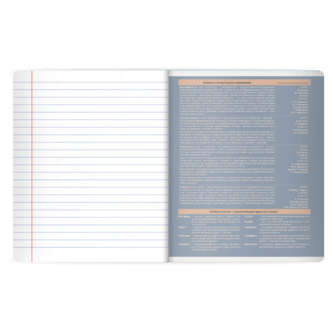 Тетрадь предметная MonoPastel 48 л., пластиковая обложка, ЛИТЕРАТУРА, линия, подсказ, BRAUBERG, 405509 - фото 4