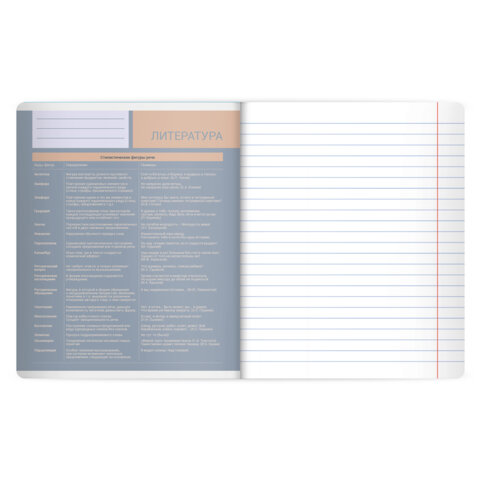 Тетрадь предметная MonoPastel 48 л., пластиковая обложка, ЛИТЕРАТУРА, линия, подсказ, BRAUBERG, 405509 - фото 3