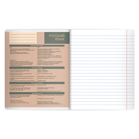 Тетрадь предметная MonoPastel 48 л., пластиковая обложка, РУССКИЙ ЯЗЫК, линия, подсказ, BRAUBERG, 405510 - фото 3