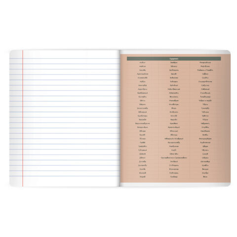 Тетрадь предметная MonoPastel 48 л., пластиковая обложка, РУССКИЙ ЯЗЫК, линия, подсказ, BRAUBERG, 405510 - фото 4