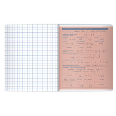 Тетрадь предметная MonoPastel 48 л., пластиковая обложка, ФИЗИКА, клетка, подсказ, BRAUBERG, 405511 - фото 4