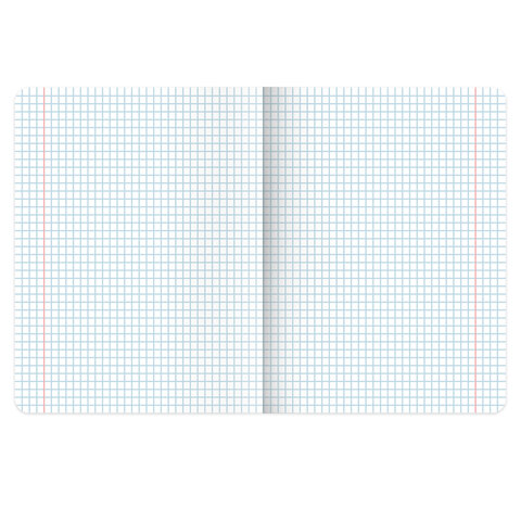 Тетрадь предметная MonoPastel 48 л., пластиковая обложка, ФИЗИКА, клетка, подсказ, BRAUBERG, 405511 - фото 2