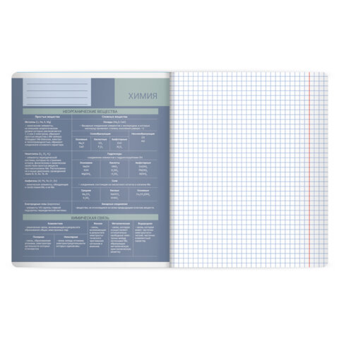 Тетрадь предметная MonoPastel 48 л., пластиковая обложка, ХИМИЯ, клетка, подсказ, BRAUBERG, 405512 - фото 3