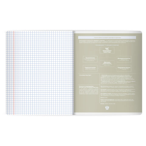Тетрадь предметная MonoPastel 48 л., пластиковая обложка, ОБЗР, клетка, подсказ, BRAUBERG, 405513 - фото 4