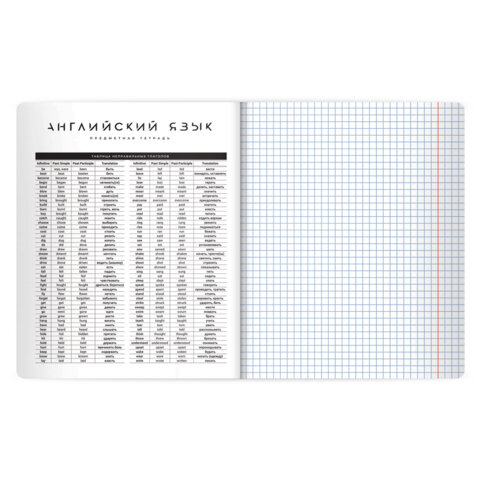 Тетрадь предметная BLACK MODE 48 л., пластиковая обложка, АНГЛИЙСКИЙ ЯЗЫК, клетка, подсказ, BRAUBERG, 405516 - фото 4