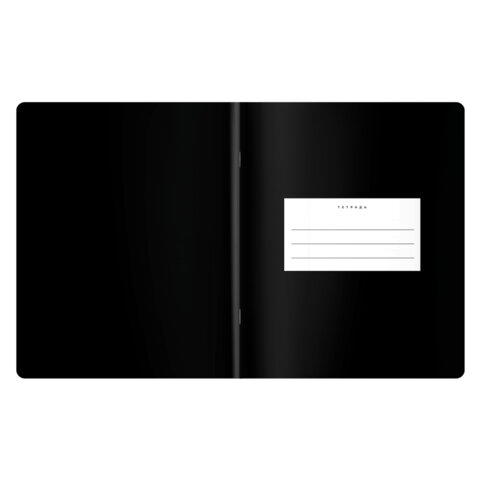 Тетрадь предметная BLACK MODE 48 л., пластиковая обложка, БИОЛОГИЯ, клетка, подсказ, BRAUBERG, 405517 - фото 3