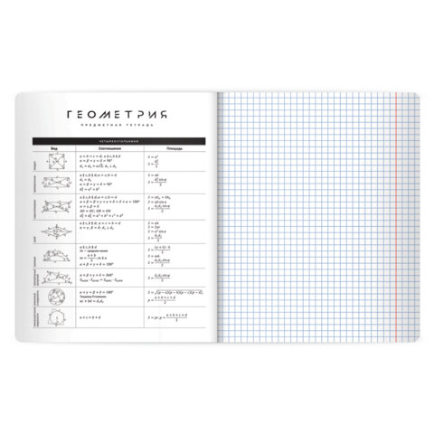Тетрадь предметная BLACK MODE 48 л., пластиковая обложка, ГЕОМЕТРИЯ, клетка, подсказ, BRAUBERG, 405519 - фото 4