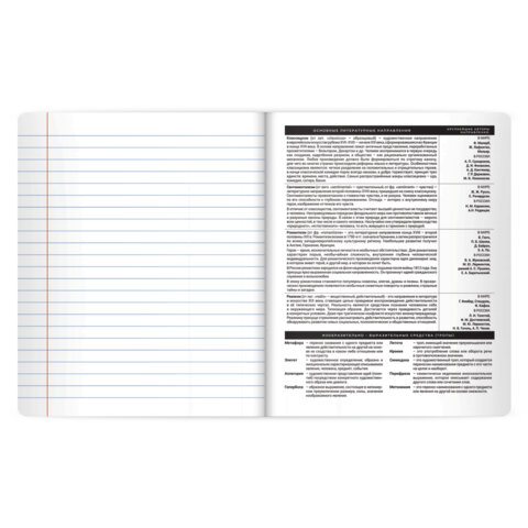 Тетрадь предметная BLACK MODE 48 л., пластиковая обложка, ЛИТЕРАТУРА, линия, подсказ, BRAUBERG, 405522 - фото 5