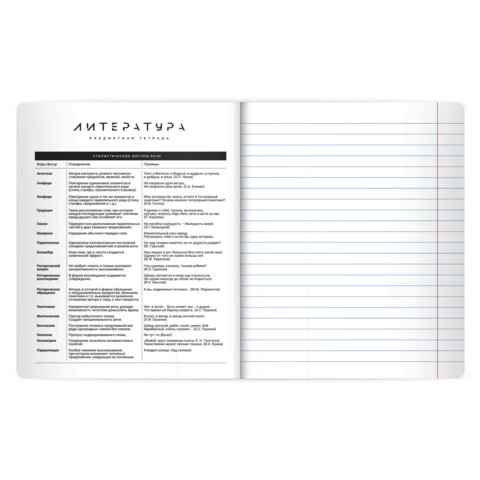 Тетрадь предметная BLACK MODE 48 л., пластиковая обложка, ЛИТЕРАТУРА, линия, подсказ, BRAUBERG, 405522 - фото 4