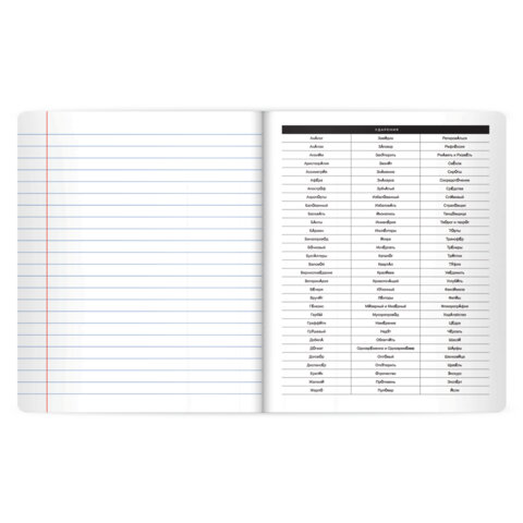 Тетрадь предметная BLACK MODE 48 л., пластиковая обложка, РУССКИЙ ЯЗЫК, линия, подсказ, BRAUBERG, 405523 - фото 5