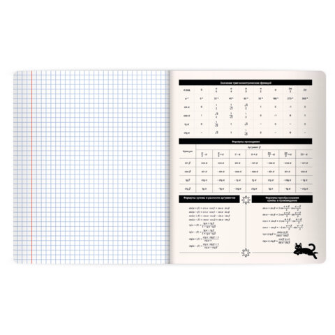 Тетрадь предметная КОТ-НЕПОСЕДА 48 л., пластиковая обложка, АЛГЕБРА, клетка, подсказ, BRAUBERG, 405527 - фото 4