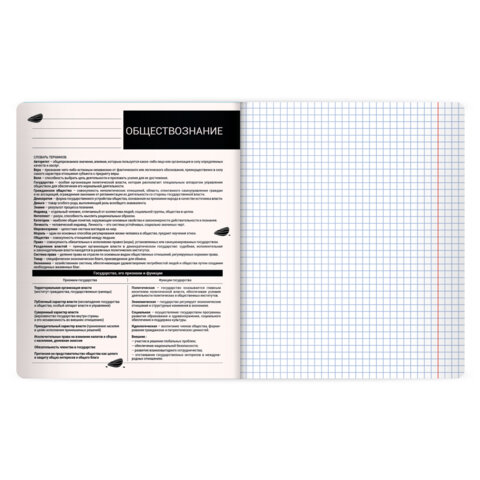 Тетрадь предметная КОТ-НЕПОСЕДА 48 л., пластиковая обложка, ОБЩЕСТВОЗНАНИЕ, клетка, подсказ, BRAUBERG, 405528 - фото 3
