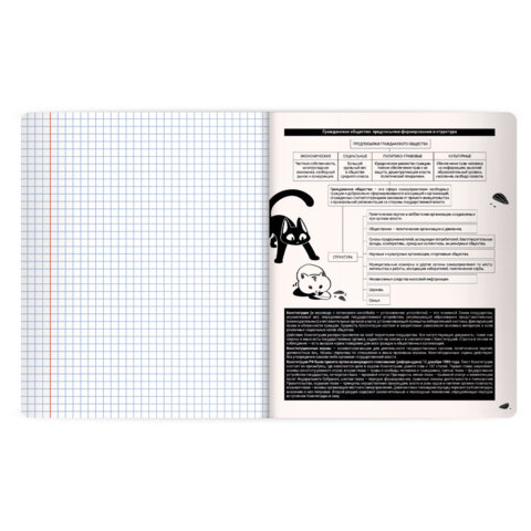 Тетрадь предметная КОТ-НЕПОСЕДА 48 л., пластиковая обложка, ОБЩЕСТВОЗНАНИЕ, клетка, подсказ, BRAUBERG, 405528 - фото 4