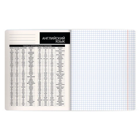 Тетрадь предметная КОТ-НЕПОСЕДА 48 л., пластиковая обложка, АНГЛИЙСКИЙ ЯЗЫК, клетка, подсказ, BRAUBERG, 405529 - фото 3