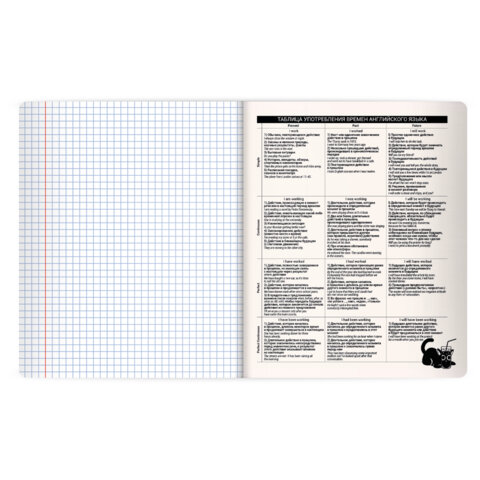 Тетрадь предметная КОТ-НЕПОСЕДА 48 л., пластиковая обложка, АНГЛИЙСКИЙ ЯЗЫК, клетка, подсказ, BRAUBERG, 405529 - фото 4