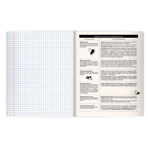 Тетрадь предметная КОТ-НЕПОСЕДА 48 л., пластиковая обложка, БИОЛОГИЯ, клетка, подсказ, BRAUBERG, 405530 - фото 4