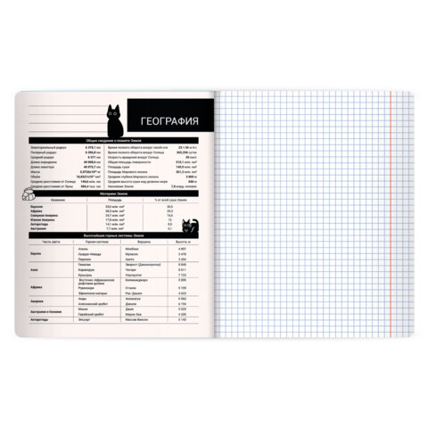 Тетрадь предметная КОТ-НЕПОСЕДА 48 л., пластиковая обложка, ГЕОГРАФИЯ, клетка, подсказ, BRAUBERG, 405531 - фото 3