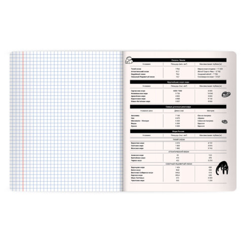 Тетрадь предметная КОТ-НЕПОСЕДА 48 л., пластиковая обложка, ГЕОГРАФИЯ, клетка, подсказ, BRAUBERG, 405531 - фото 4