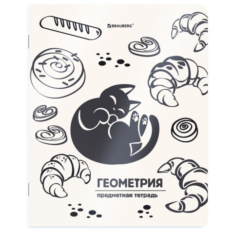 Тетрадь предметная КОТ-НЕПОСЕДА 48 л., пластиковая обложка, ГЕОМЕТРИЯ, клетка, подсказ, BRAUBERG, 405532