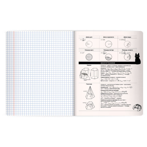 Тетрадь предметная КОТ-НЕПОСЕДА 48 л., пластиковая обложка, ГЕОМЕТРИЯ, клетка, подсказ, BRAUBERG, 405532 - фото 4