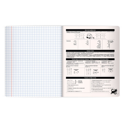 Тетрадь предметная КОТ-НЕПОСЕДА 48 л., пластиковая обложка, ИНФОРМАТИКА, клетка, подсказ, BRAUBERG, 405533 - фото 4