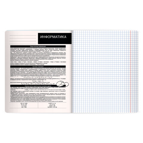 Тетрадь предметная КОТ-НЕПОСЕДА 48 л., пластиковая обложка, ИНФОРМАТИКА, клетка, подсказ, BRAUBERG, 405533 - фото 3