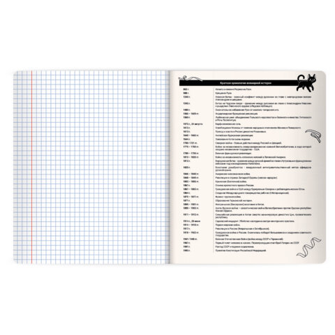 Тетрадь предметная КОТ-НЕПОСЕДА 48 л., пластиковая обложка, ИСТОРИЯ, клетка, подсказ, BRAUBERG, 405534 - фото 4