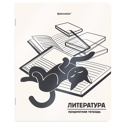 Тетрадь предметная КОТ-НЕПОСЕДА 48 л., пластиковая обложка, ЛИТЕРАТУРА, линия, подсказ, BRAUBERG, 405535