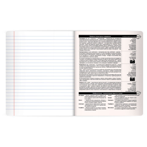 Тетрадь предметная КОТ-НЕПОСЕДА 48 л., пластиковая обложка, ЛИТЕРАТУРА, линия, подсказ, BRAUBERG, 405535 - фото 4