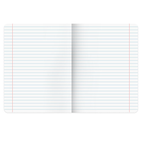 Тетрадь предметная КОТ-НЕПОСЕДА 48 л., пластиковая обложка, ЛИТЕРАТУРА, линия, подсказ, BRAUBERG, 405535 - фото 2