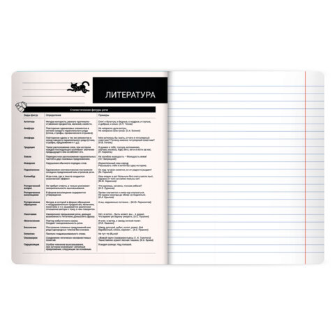 Тетрадь предметная КОТ-НЕПОСЕДА 48 л., пластиковая обложка, ЛИТЕРАТУРА, линия, подсказ, BRAUBERG, 405535 - фото 3