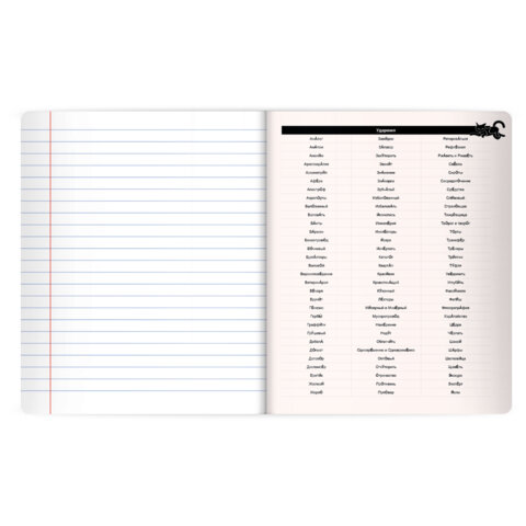 Тетрадь предметная КОТ-НЕПОСЕДА 48 л., пластиковая обложка, РУССКИЙ ЯЗЫК, линия, подсказ, BRAUBERG, 405536 - фото 4