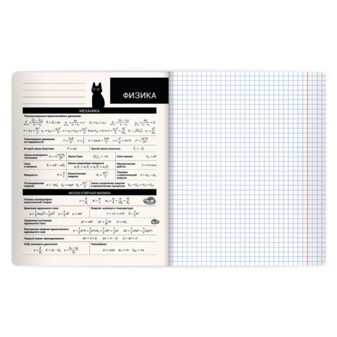 Тетрадь предметная КОТ-НЕПОСЕДА 48 л., пластиковая обложка, ФИЗИКА, клетка, подсказ, BRAUBERG, 405537 - фото 3