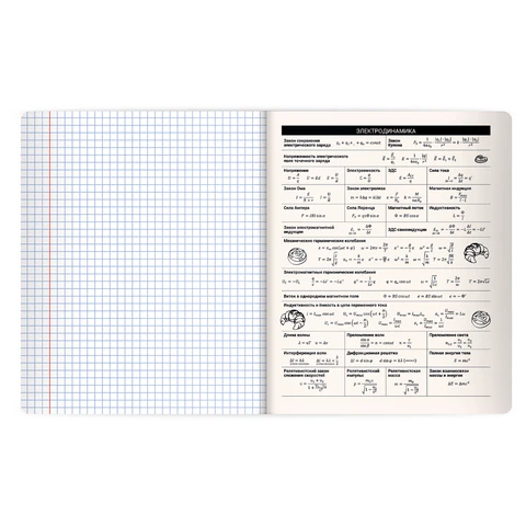 Тетрадь предметная КОТ-НЕПОСЕДА 48 л., пластиковая обложка, ФИЗИКА, клетка, подсказ, BRAUBERG, 405537 - фото 4