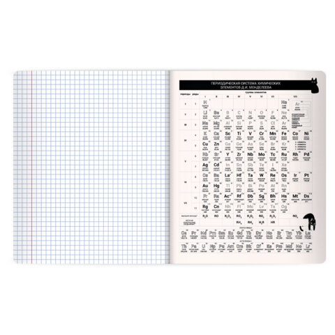 Тетрадь предметная КОТ-НЕПОСЕДА 48 л., пластиковая обложка, ХИМИЯ, клетка, подсказ, BRAUBERG, 405538 - фото 4