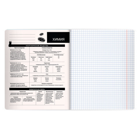 Тетрадь предметная КОТ-НЕПОСЕДА 48 л., пластиковая обложка, ХИМИЯ, клетка, подсказ, BRAUBERG, 405538 - фото 3