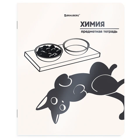 Тетрадь предметная КОТ-НЕПОСЕДА 48 л., пластиковая обложка, ХИМИЯ, клетка, подсказ, BRAUBERG, 405538