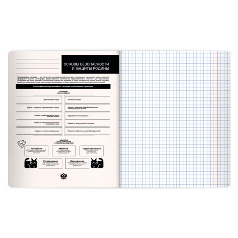 Тетрадь предметная КОТ-НЕПОСЕДА 48 л., пластиковая обложка, ОБЗР, клетка, подсказ, BRAUBERG, 405539 - фото 3