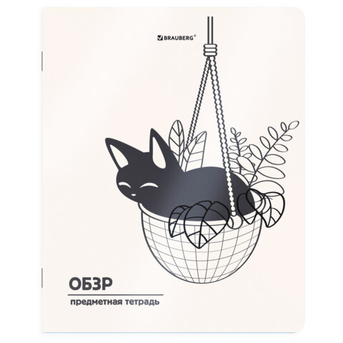 Тетрадь предметная КОТ-НЕПОСЕДА 48 л., пластиковая обложка, ОБЗР, клетка, подсказ, BRAUBERG, 405539