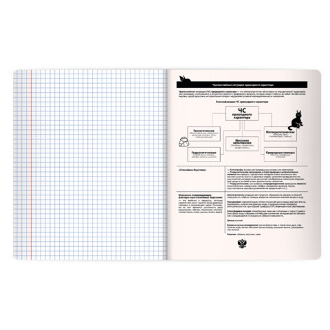 Тетрадь предметная КОТ-НЕПОСЕДА 48 л., пластиковая обложка, ОБЗР, клетка, подсказ, BRAUBERG, 405539 - фото 4