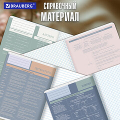 Тетради предметные, КОМПЛЕКТ 12 ПРЕДМЕТОВ 48 л., пластиковая обложка, BRAUBERG "MonoPastel", 405540