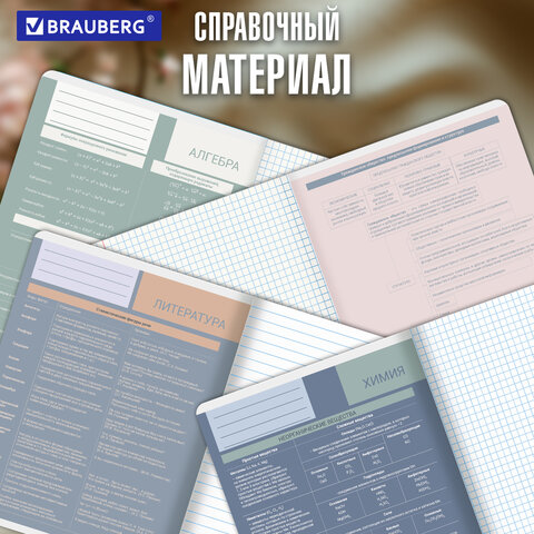 Тетради предметные, КОМПЛЕКТ 12 ПРЕДМЕТОВ 48 л., пластиковая обложка, BRAUBERG "MonoPastel", 405540 - фото 23