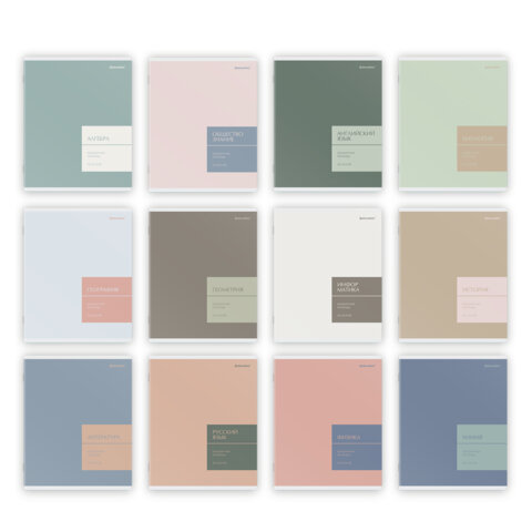 Тетради предметные, КОМПЛЕКТ 12 ПРЕДМЕТОВ 48 л., пластиковая обложка, BRAUBERG "MonoPastel", 405540