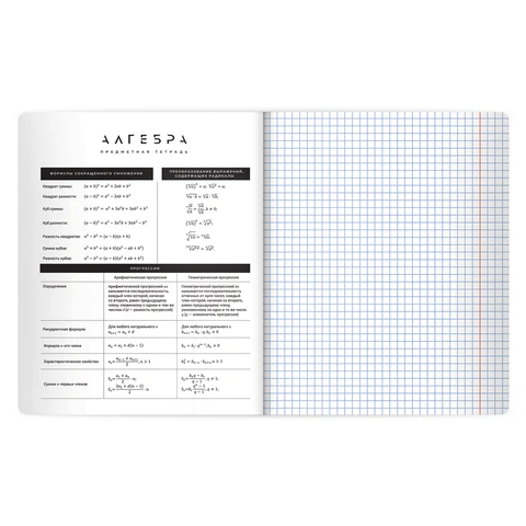 Тетради предметные, КОМПЛЕКТ 12 ПРЕДМЕТОВ 48 л., пластиковая обложка, BRAUBERG "BLACK MODE", 405541 - фото 3