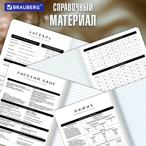Тетради предметные, КОМПЛЕКТ 12 ПРЕДМЕТОВ 48 л., пластиковая обложка, BRAUBERG "BLACK MODE", 405541 - фото 25