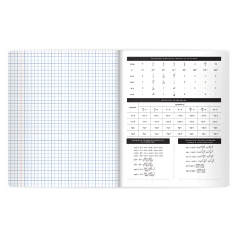 Тетради предметные, КОМПЛЕКТ 12 ПРЕДМЕТОВ 48 л., пластиковая обложка, BRAUBERG "BLACK MODE", 405541 - фото 4